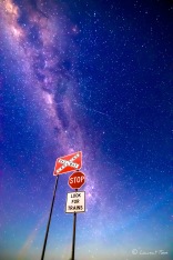 Peu de temps avant que le soleil ne se lève, la voie lactée illumine le ciel. Richmond, Queensland.